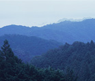 山